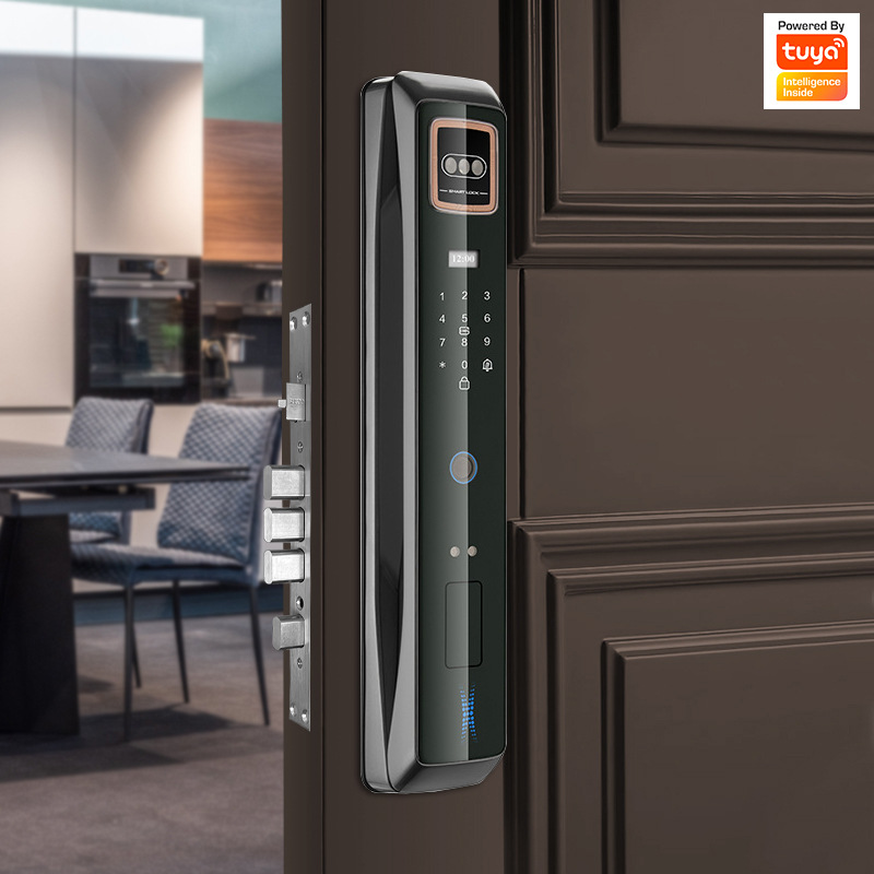 3D人脸识别超清猫眼指纹家用公寓抓拍防盗全智能自动门锁跨境电商