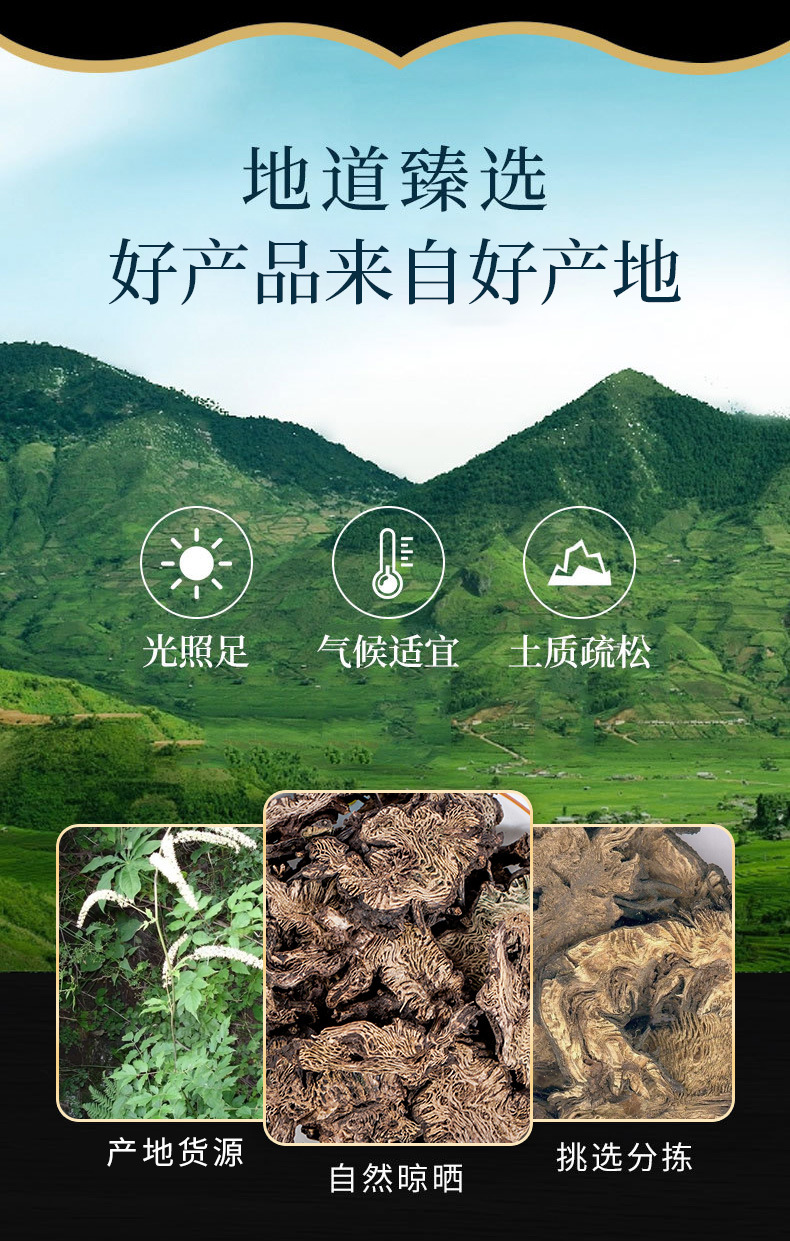 Sheng Ma Slices & Powder (Cimicifuga foetida) — Traditional Chinese Herb, 500g overview