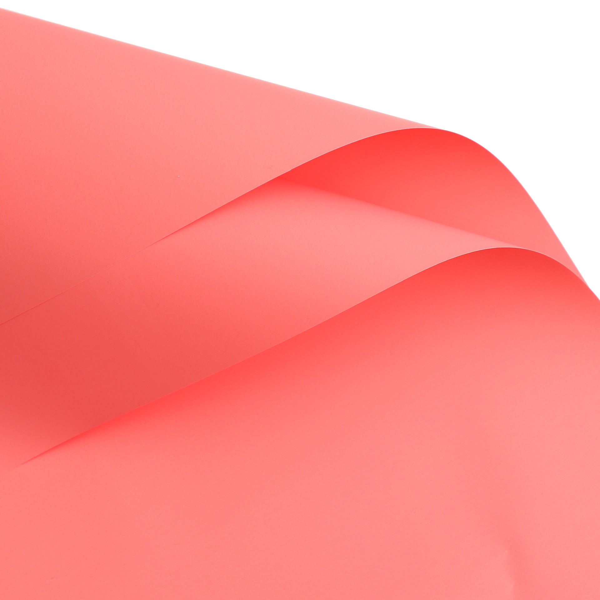 35 polvo de sandía; 56cm,20 hojas