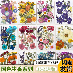 新商品のドライフラワーエンボス材料は顔を貼って目尻の写真の花びらを飾ります。
