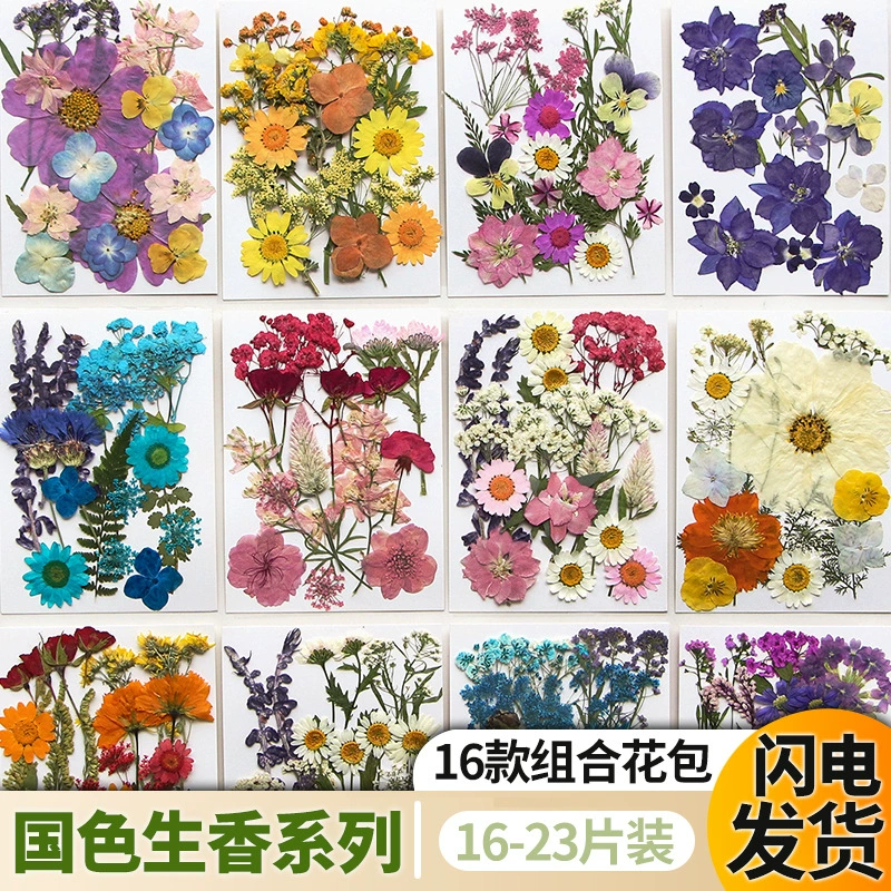 Новый сушеный цветок тисненый материал сумка лицо декоративный портрет глаз лепесток DIY капля клей фоторамка образец растения