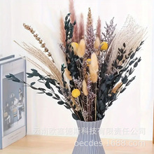 �羳����ѷ�����ɻ�����С«έ���ӷ�������ʦ�ھӼ�װ�����ϳ���
