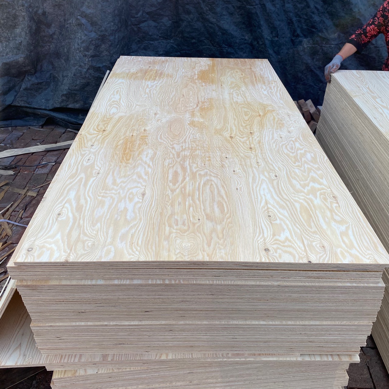 1830x815x12mm/15mm/18mm Larch Core Plywood – F17 Grade