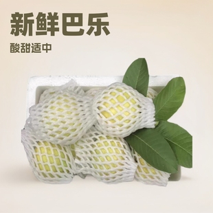 �Ř���ʯ��ˮ������һ���ļ��t�İ͘�����÷�۬Fժ������������