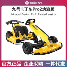 Ninebot九号赛格威卡丁车Pro2烤漆版成人儿童四轮卡丁车