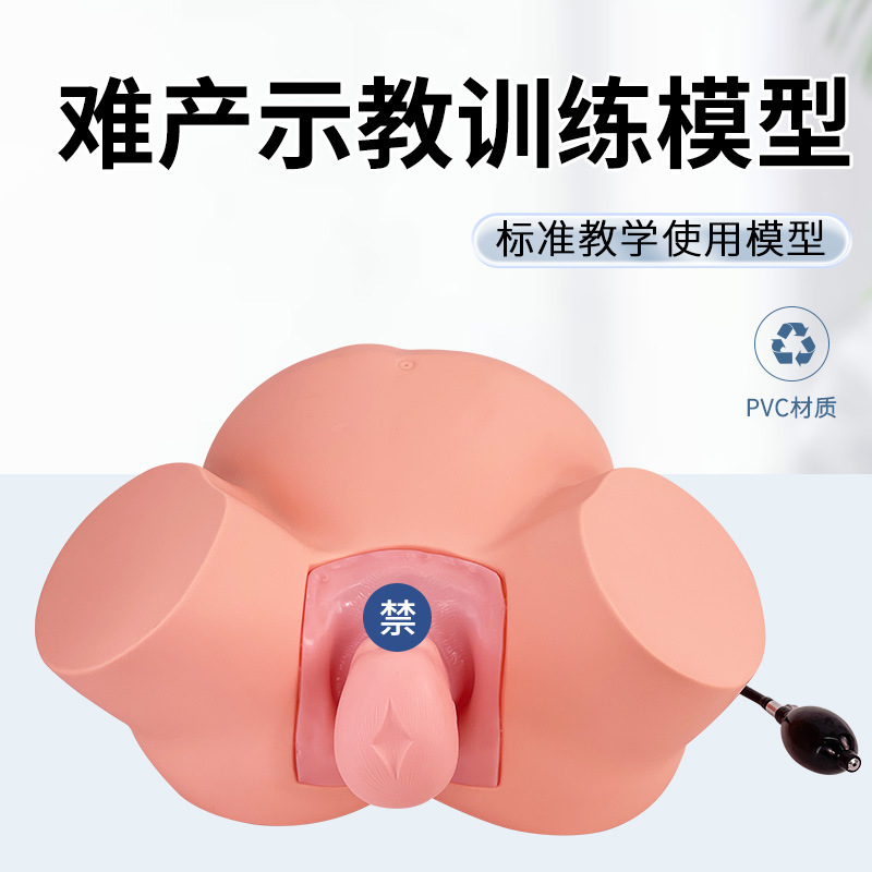Advanced delivery teaching model delivery demonstration gynecological examination model production delivery demonstration shoulder dystocia Advanced delivery teaching model delivery demonstration gynecological examination model production delivery demonstration shoulder dystocia
