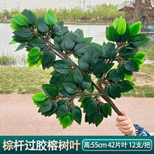 �����֦�G���٘��~�ӈ@�ֹ����b���^�z�쾰���ݵ����Ř��~