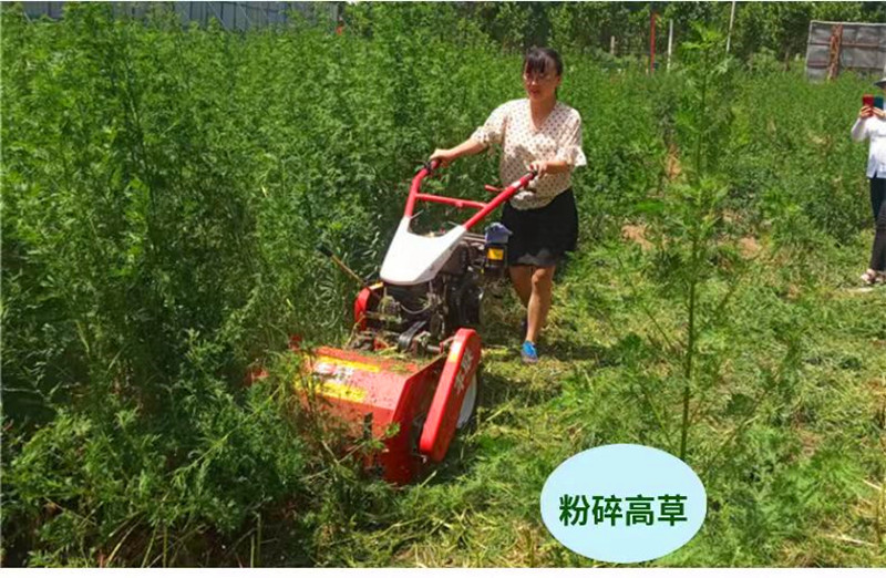 微信图片_20241221135753