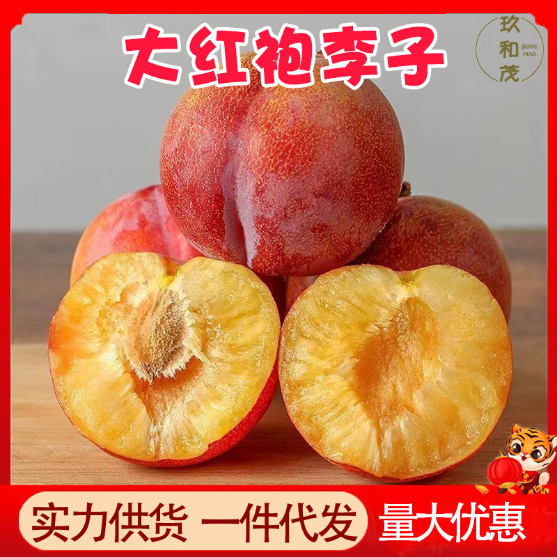 Authentic Northeast Red Plum 2.5kg Fresh Seasonal Fruit for Pregnant Women Wholesale Free Shipping 3 Freshly Picked Crispy Sweet and Sour Plums