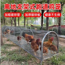折叠款养殖棚鸡牛津围栏网鸡笼防腐防锈户外养鸡隧道跑笼散养跑道