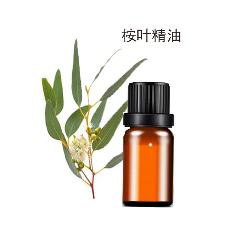 跨境精油供应  桉叶日化精油10ml  香薰按摩薰衣草加湿器蜡烛植物