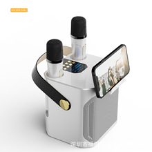 S882户外K歌蓝牙音箱大音量家庭K歌双话筒带麦克风K歌一体机音箱