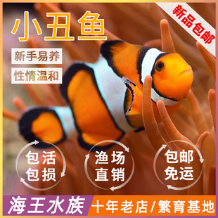 ��ˮ�~�^�p�~С���~��Ī��ˮ���~�˹�����С��׽𮅼����ڱ���