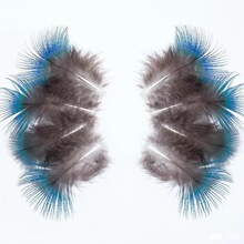 ��Ȼ��ȸ��ë��ȸ�{Ƭ����b�o���ֹ�DIY�c����Ͽ�ȸ���