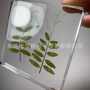 Natural plant green leaf specimen epoxy resin square embedded pea leaf clover specimen creative decoration