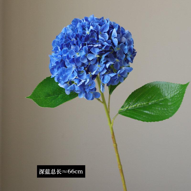 다크 블루