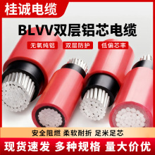 |BLVVpƤXо늾10/16/25/35/50ƽXܿ|