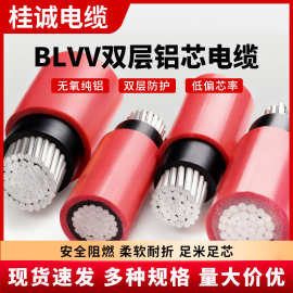 桂城电缆BLVV国标双皮铝芯电线10/16/25/35/50平方铝架空电缆线