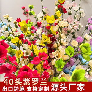 40�^���_�m���滨��֧�w�ྀ�l���ҾӲ廨��c�Y�þƵ��bٻ�