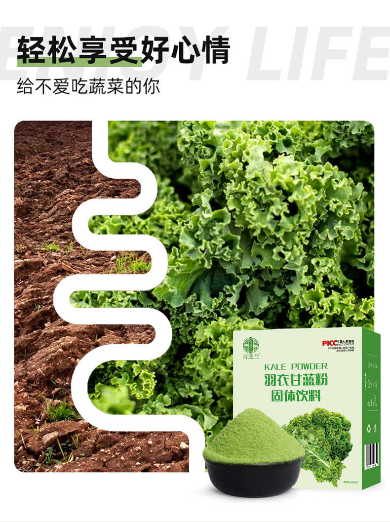 羽衣甘蓝_04.jpg