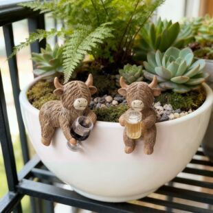 �羳��Ʒ Cute Highland Cow ��Ȥ�ߵ�ţ�����b�֬��ˇƷ�[��