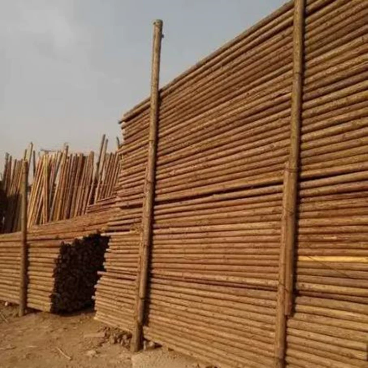 Деревья опорные столбы, саженцы, пихта, тополь, сосна, опора, зеленая ветрозащитная стойка