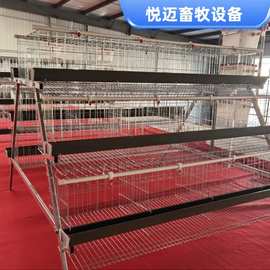 蛋鸡养殖笼阶梯式鸡笼子全套三层四层A型配件鸡用