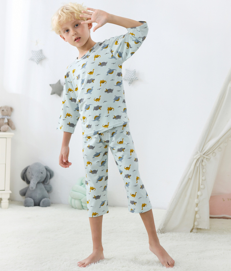 K2112-沙灰恐龙 (5).jpg