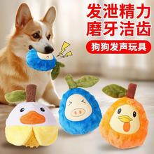 萌儿冠布绒+乳胶发声玩具磨牙洁齿发泄精力不拆家泰迪比熊博美