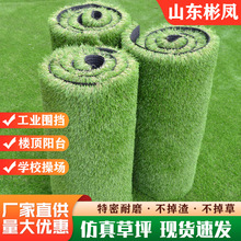 ���������ƺ ��Ƥ�Gɫ��������WУ��_ɰ�׃��@�و� ����ݵ�