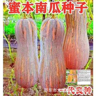 �۱��Ϲσ��|�߲˹Ϲ��߮a���Ϲ��ܱ��ϹϷN�����\ݔ�߹��������N