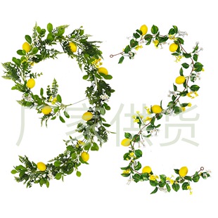 �羳���晎���ٗl  ���R�d���왎���ٗl�҃ȾGֲ�����b��ٗl