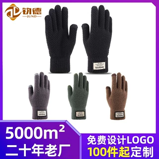 哇定制亚马逊秋冬触屏手套季男士加绒双层加厚保暖毛线针织手套