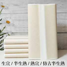 安徽泾县生宣纸半生半熟檀皮三尺四尺写意作品用毛边纸书法练习
