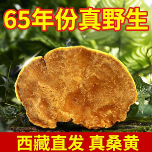 ɣ������ɣ�Sһ������Ұ����65����5ɣ�S