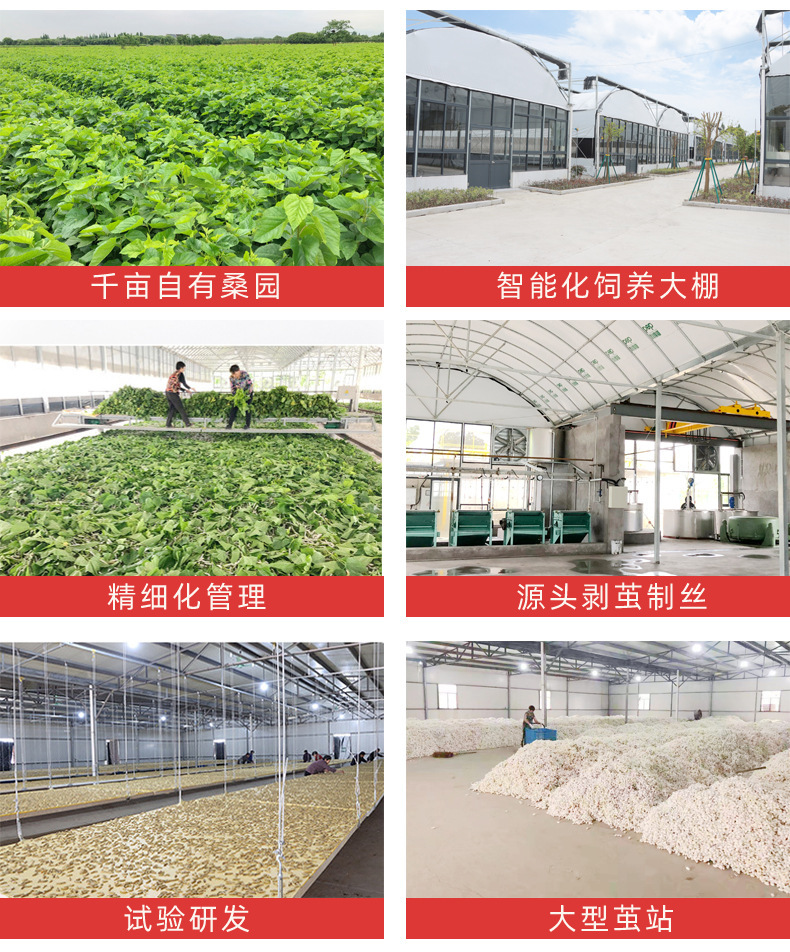 O1CN01xRK2qZ1ch2q6iZFcN_!!2212