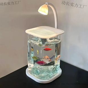 Fish Tank Betta Ultra-White Small Lazy Glass Tank Living Room Creative Desktop Ornaments Ornamental Lamp
