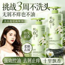 栀子花香氛洗发水控油去屑止痒柔顺蓬松白茶洗头膏持久留香栀子香