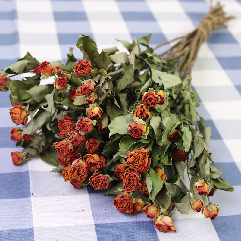 오렌지 바비 + 무료 35개 이상의 장미