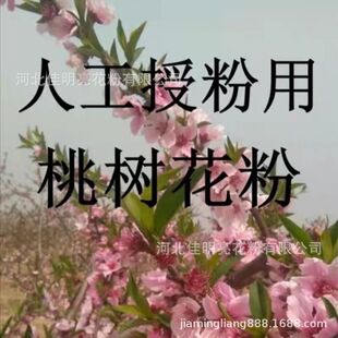 �һ����˹��ڷ�  �ű���  ɽ�ҷۏS�����l