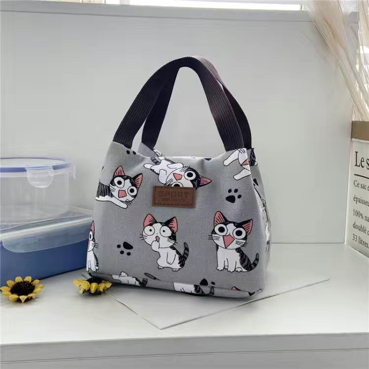 Casual bolso de moda de las mujeres de gran capacidad lonchera bolsa de almuerzo 2023 primavera nuevo bolso casual simple