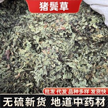 �i�W����ș�� ��؛�F���� С�ië�� ʯ���� �F�z�� ��ș���l��ȫ