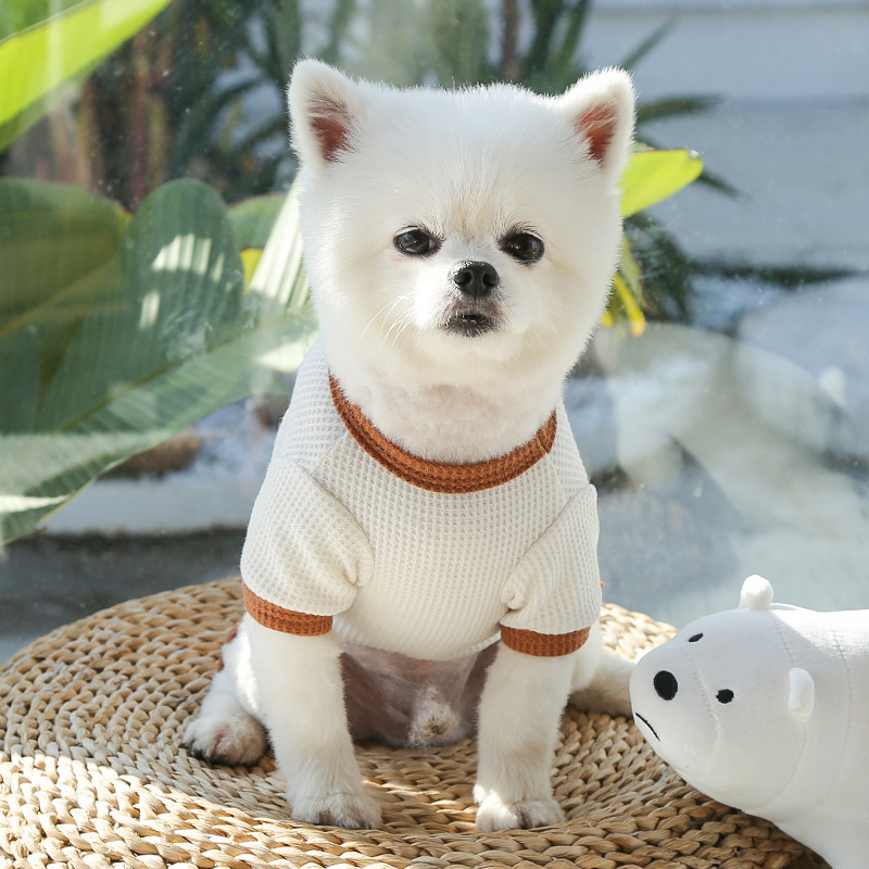 Camiseta con falda para mascotas, camiseta para parejas, osito de peluche, ropa para perros medianos_voghion.com
