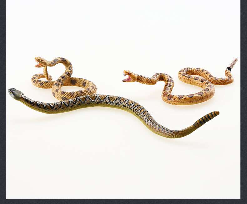 蛇系列-详情图_35.jpg