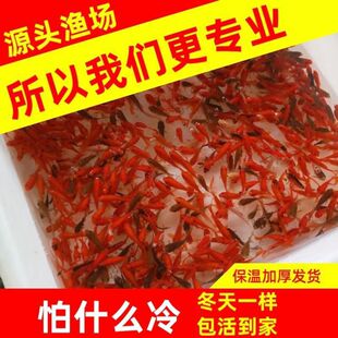 �~���ͻ��\�����~���~���B�^�p��ˮ��С�~�~������l......