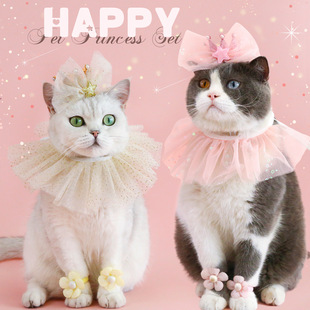 Pet Sequin Bib Crown Set Cat Dog Birthday Party Princess Bow Headwear Sneak Flower