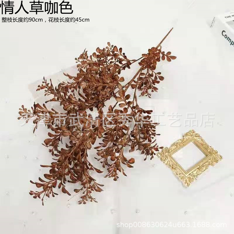 연인 잔디 다크 브라운