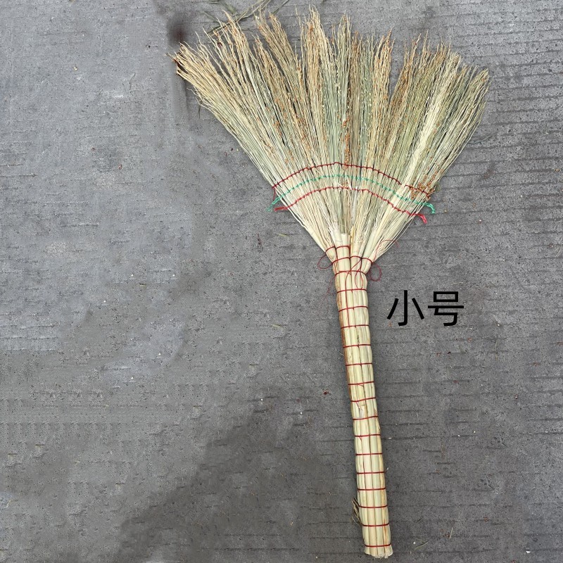 微信图片_20240218120406_副本_副本