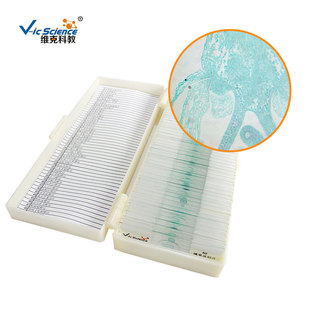 ֱ�� �j�˻����пv�� ֲ������������L ������Ƭ �@΢�R��Ƭ