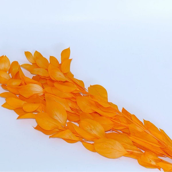 5 branches of orange leaves